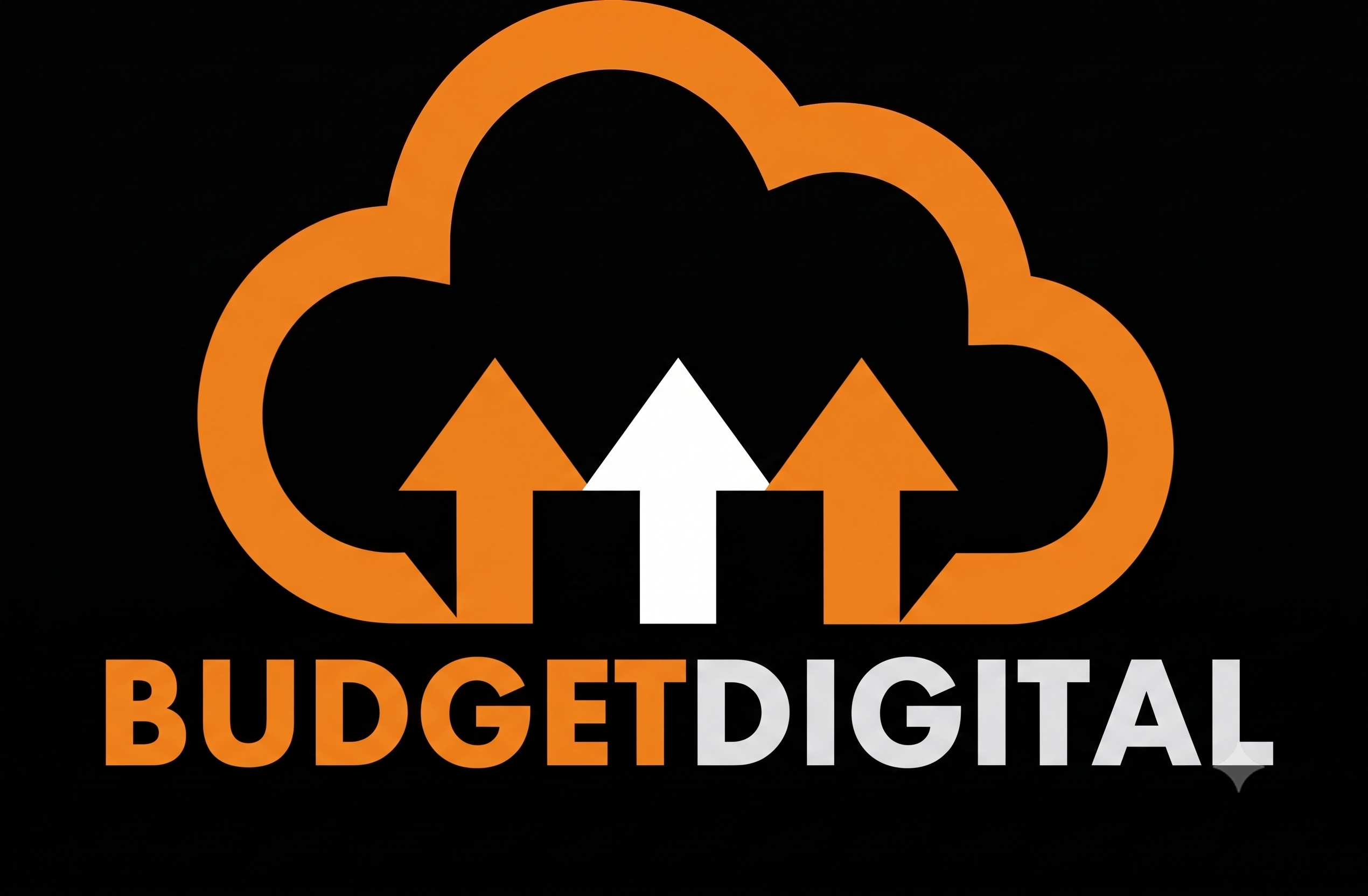 Emissor Budget Pro Logo